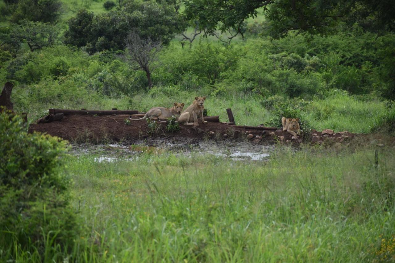 African Spirit Game Lodge Mkuze Eksteriør bilde